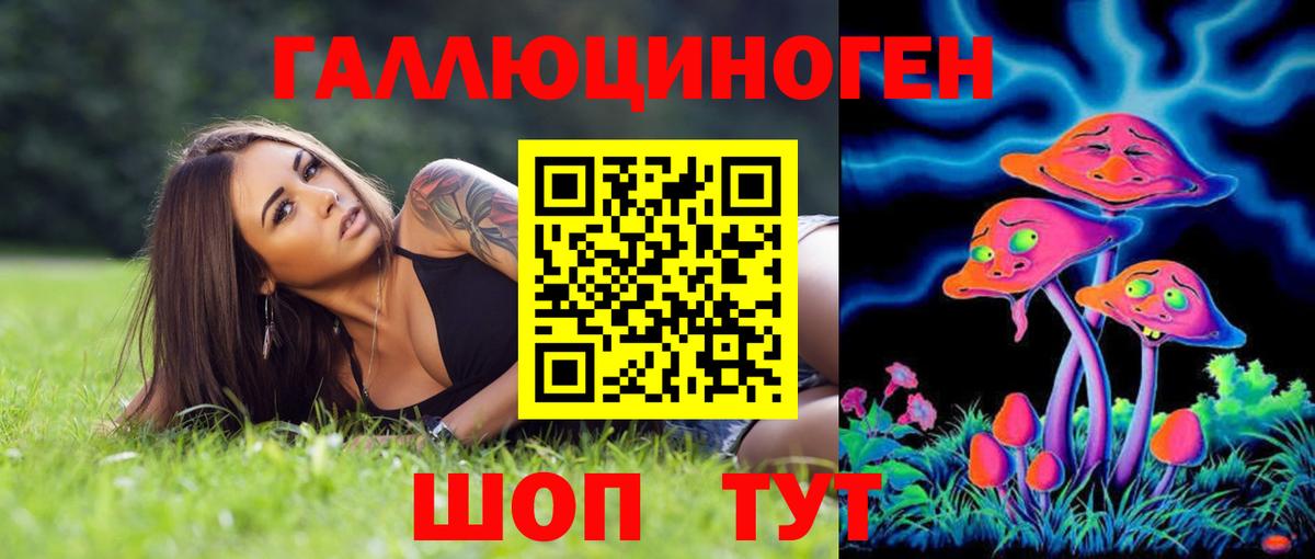 Кашира  Псилоцибиновые грибы ЛСД  Вход с VPN 