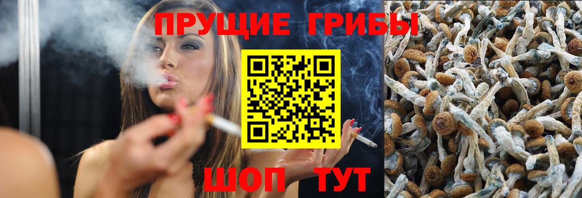 Галлюциногенные грибы ЛСД Кашира
